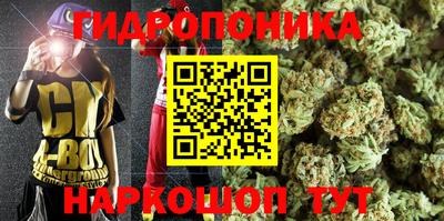 гидра Волжский