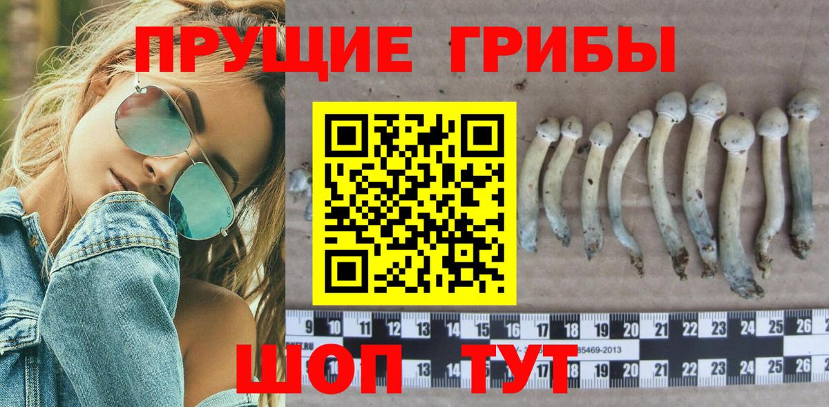 Галлюциногенные грибы MAGIC MUSHROOMS  купить наркотики цена  Галлюциногенные грибы ЛСД  Дедовск  Вход с VPN 